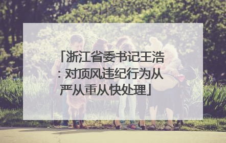 浙江省委书记王浩：对顶风违纪行为从严从重从快处理