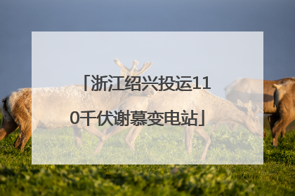 浙江绍兴投运110千伏谢慕变电站