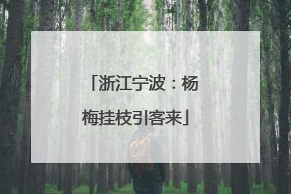 浙江宁波：杨梅挂枝引客来