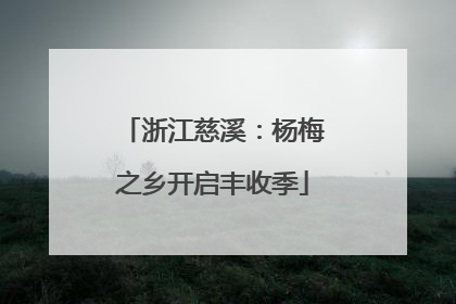 浙江慈溪：杨梅之乡开启丰收季