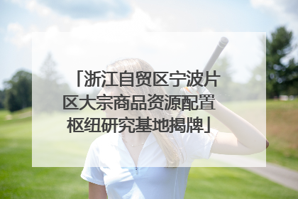 浙江自贸区宁波片区大宗商品资源配置枢纽研究基地揭牌