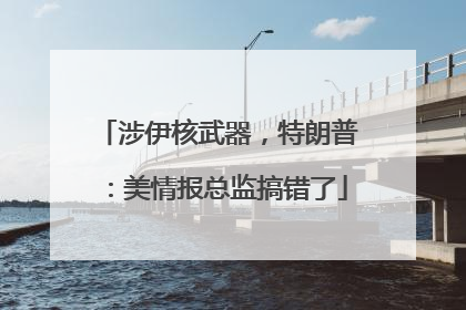 涉伊核武器，特朗普：美情报总监搞错了