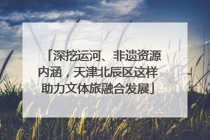 深挖运河、非遗资源内涵，天津北辰区这样助力文体旅融合发展