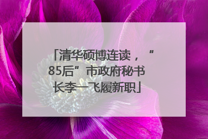 清华硕博连读，“85后”市政府秘书长李一飞履新职