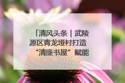 清风头条｜武陵源区青龙垭村打造“清廉书屋”赋能乡村振兴新风尚
