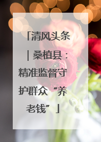 清风头条｜桑植县：精准监督守护群众“养老钱”