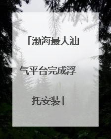 渤海最大油气平台完成浮托安装