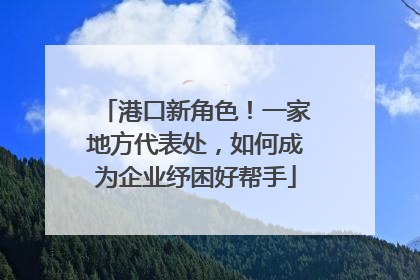 港口新角色！一家地方代表处，如何成为企业纾困好帮手