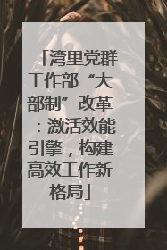 湾里党群工作部“大部制”改革：激活效能引擎，构建高效工作新格局