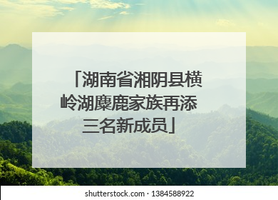 湖南省湘阴县横岭湖麋鹿家族再添三名新成员