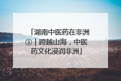 湖南中医药在非洲③｜跨越山海，中医药文化浸润非洲