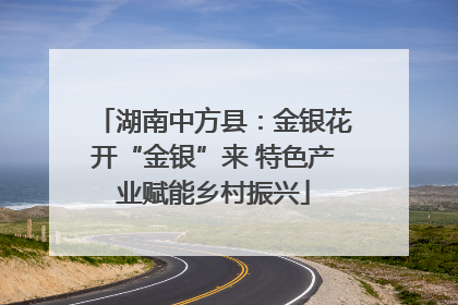 湖南中方县：金银花开“金银”来 特色产业赋能乡村振兴
