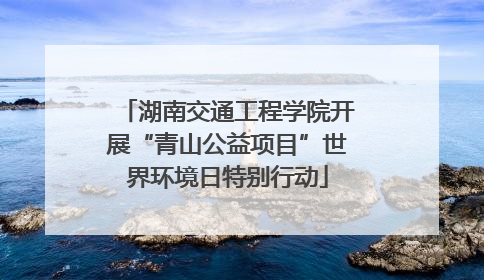 湖南交通工程学院开展“青山公益项目”世界环境日特别行动