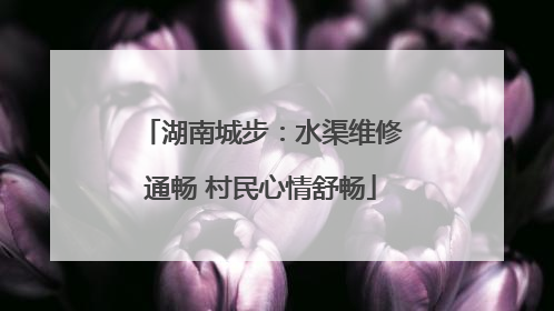 湖南城步：水渠维修通畅 村民心情舒畅