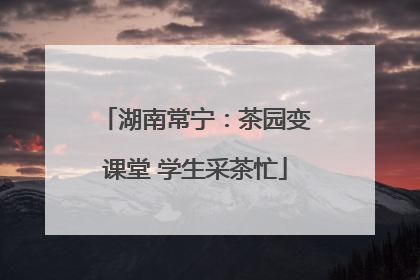 湖南常宁：茶园变课堂 学生采茶忙
