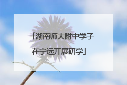 湖南师大附中学子在宁远开展研学