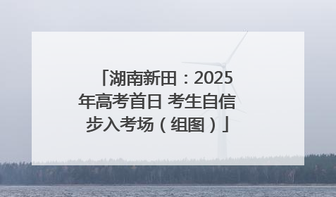 湖南新田：2025年高考首日 考生自信步入考场（组图）