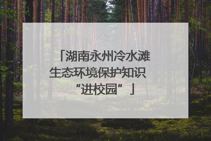 湖南永州冷水滩生态环境保护知识“进校园”