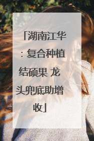 湖南江华：复合种植结硕果 龙头兜底助增收