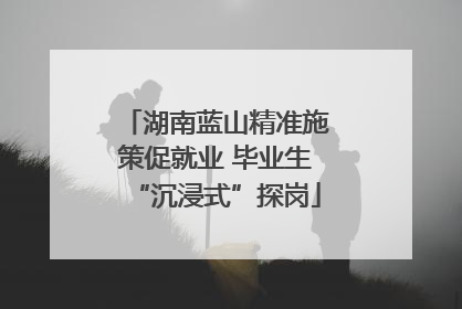 湖南蓝山精准施策促就业 毕业生“沉浸式”探岗