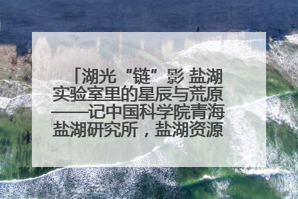 湖光“链”影 盐湖实验室里的星辰与荒原——记中国科学院青海盐湖研究所，盐湖资源化学实验室党总支书记、副主任刘忠