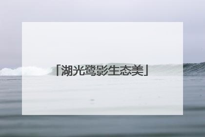 湖光鹭影生态美