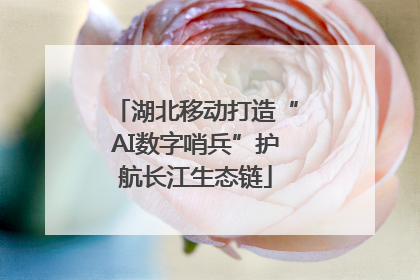 湖北移动打造“AI数字哨兵”护航长江生态链