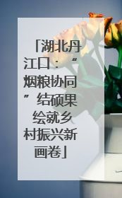 湖北丹江口：“烟粮协同”结硕果 绘就乡村振兴新画卷
