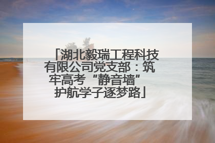 湖北毅瑞工程科技有限公司党支部：筑牢高考“静音墙” 护航学子逐梦路