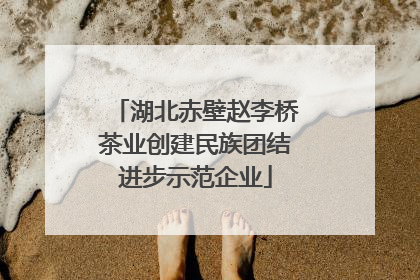 湖北赤壁赵李桥茶业创建民族团结进步示范企业