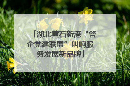 湖北黄石新港“警企党建联盟”叫响服务发展新品牌
