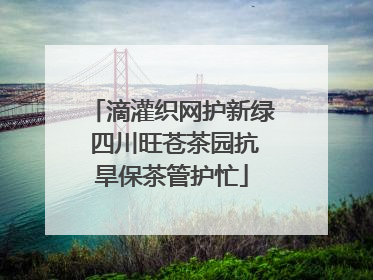 滴灌织网护新绿 四川旺苍茶园抗旱保茶管护忙