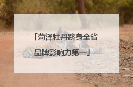 菏泽牡丹跻身全省品牌影响力第一