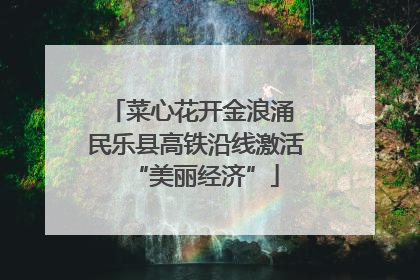 菜心花开金浪涌 民乐县高铁沿线激活“美丽经济”