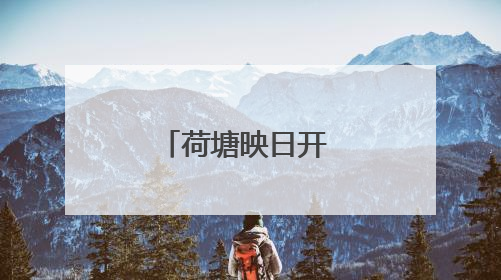 荷塘映日开 赏荷正当时