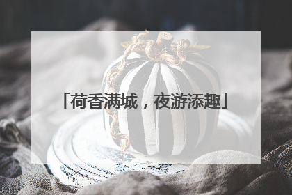 荷香满城，夜游添趣