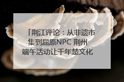 荆江评论：从非遗市集到屈原NPC 荆州端午活动让千年楚文化“破圈”生长