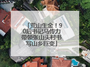 荒山生金！90后书记马传力带领张山头村书写山乡巨变