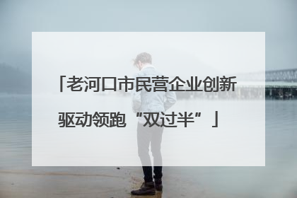 老河口市民营企业创新驱动领跑“双过半”