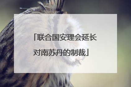 联合国安理会延长对南苏丹的制裁