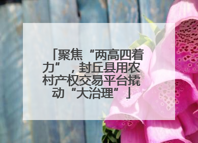 聚焦“两高四着力”，封丘县用农村产权交易平台撬动“大治理”