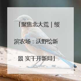 聚焦北大荒｜绥滨农场：沃野绘新景 实干开新局
