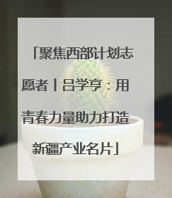 聚焦西部计划志愿者丨吕学亨：用青春力量助力打造新疆产业名片