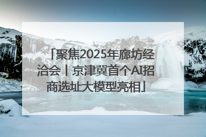 聚焦2025年廊坊经洽会丨京津冀首个AI招商选址大模型亮相