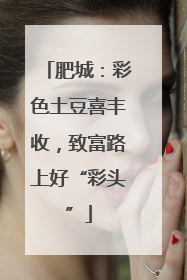 肥城：彩色土豆喜丰收，致富路上好“彩头”