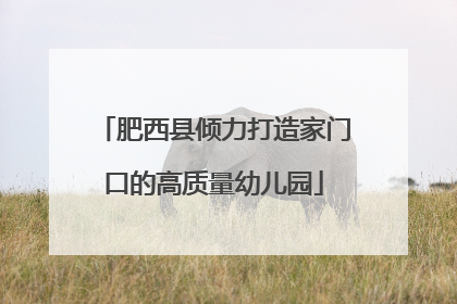 肥西县倾力打造家门口的高质量幼儿园