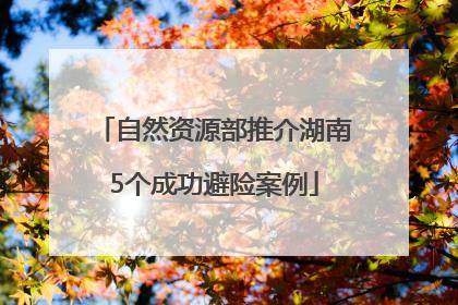 自然资源部推介湖南5个成功避险案例