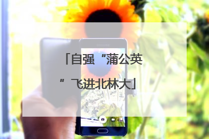 自强“蒲公英”飞进北林大