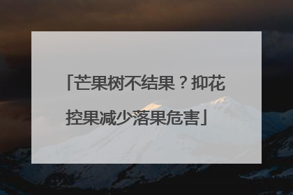 芒果树不结果？抑花控果减少落果危害