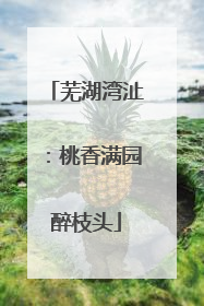 芜湖湾沚：桃香满园醉枝头